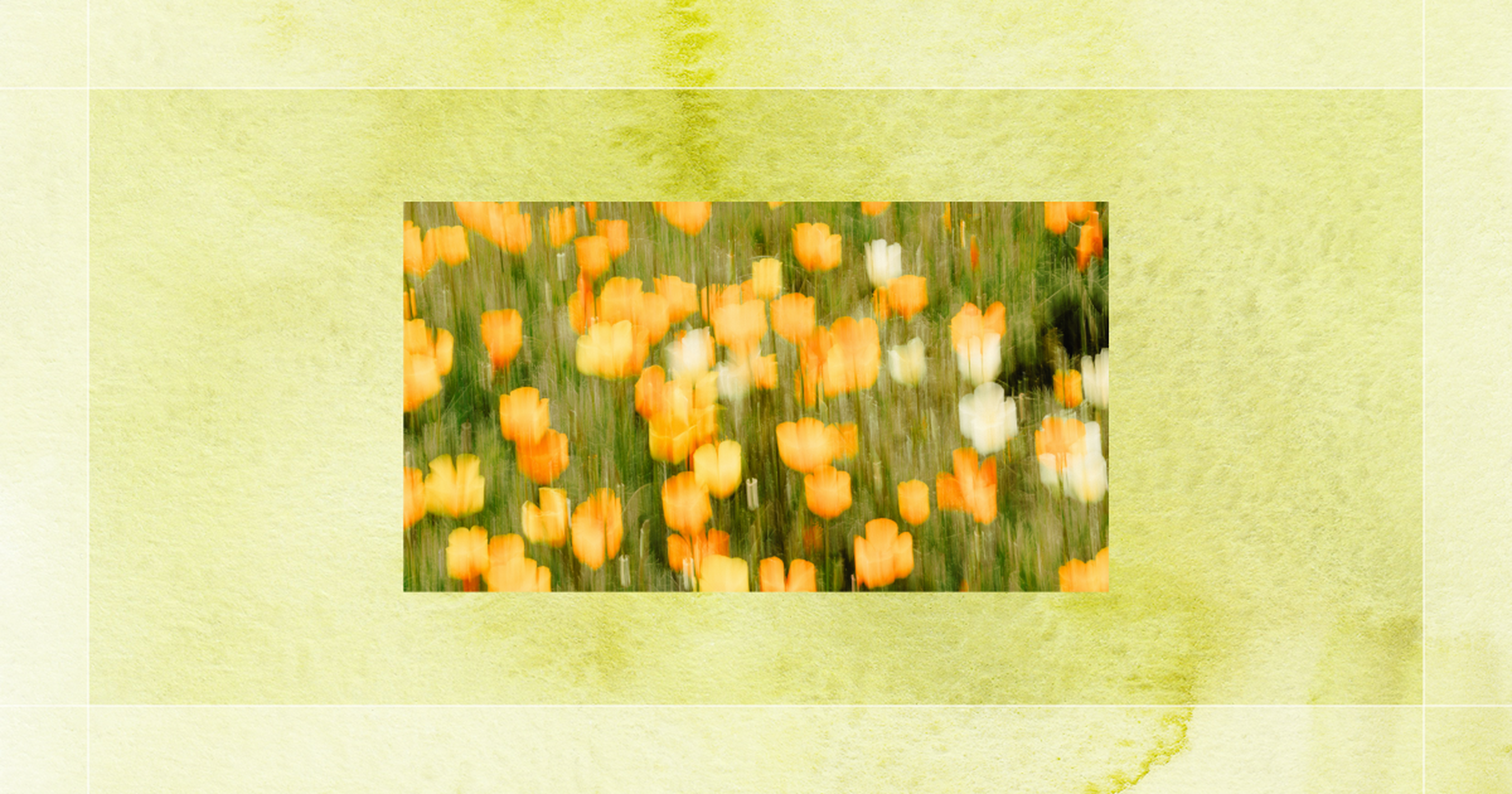 Blurry image of orange and white flowers on a green background, with a soft yellow textured border.