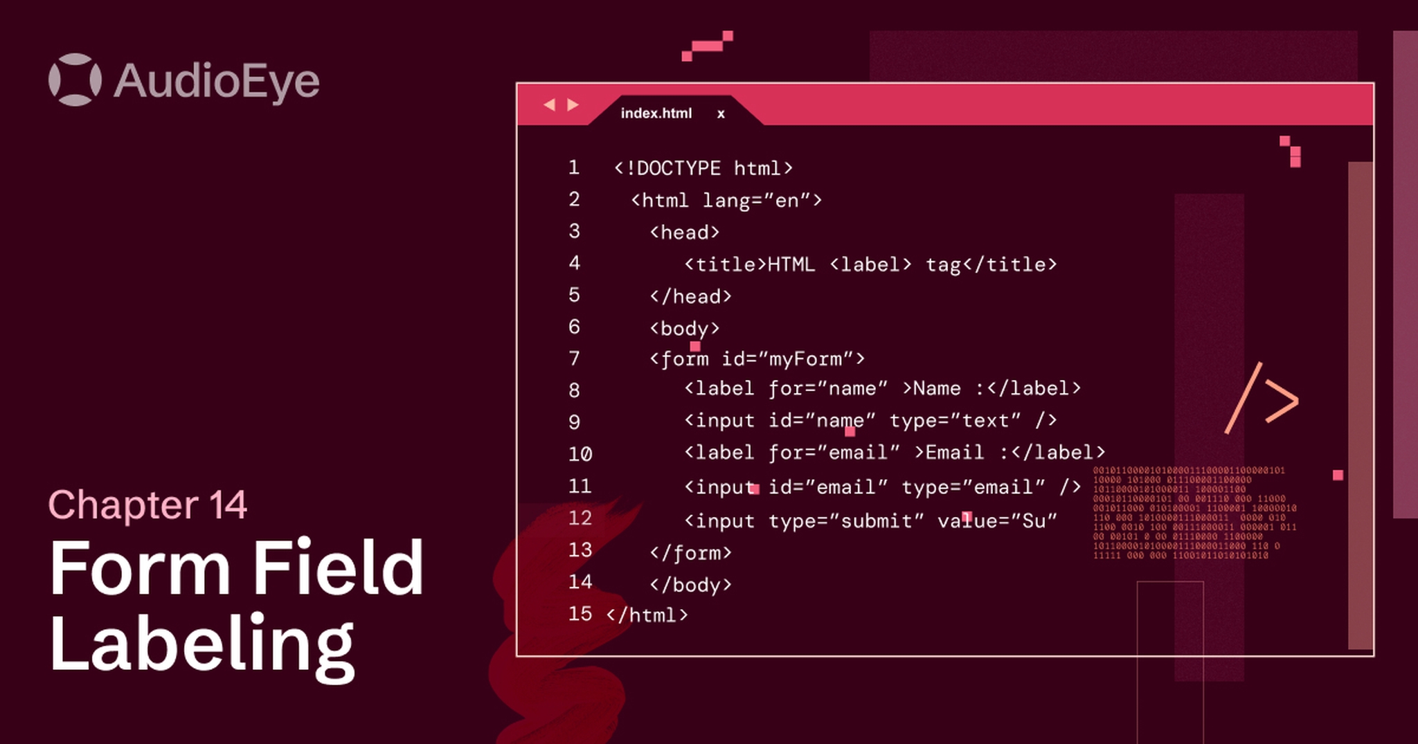 Accessible Coding, Chapter 14: Form Field Labeling