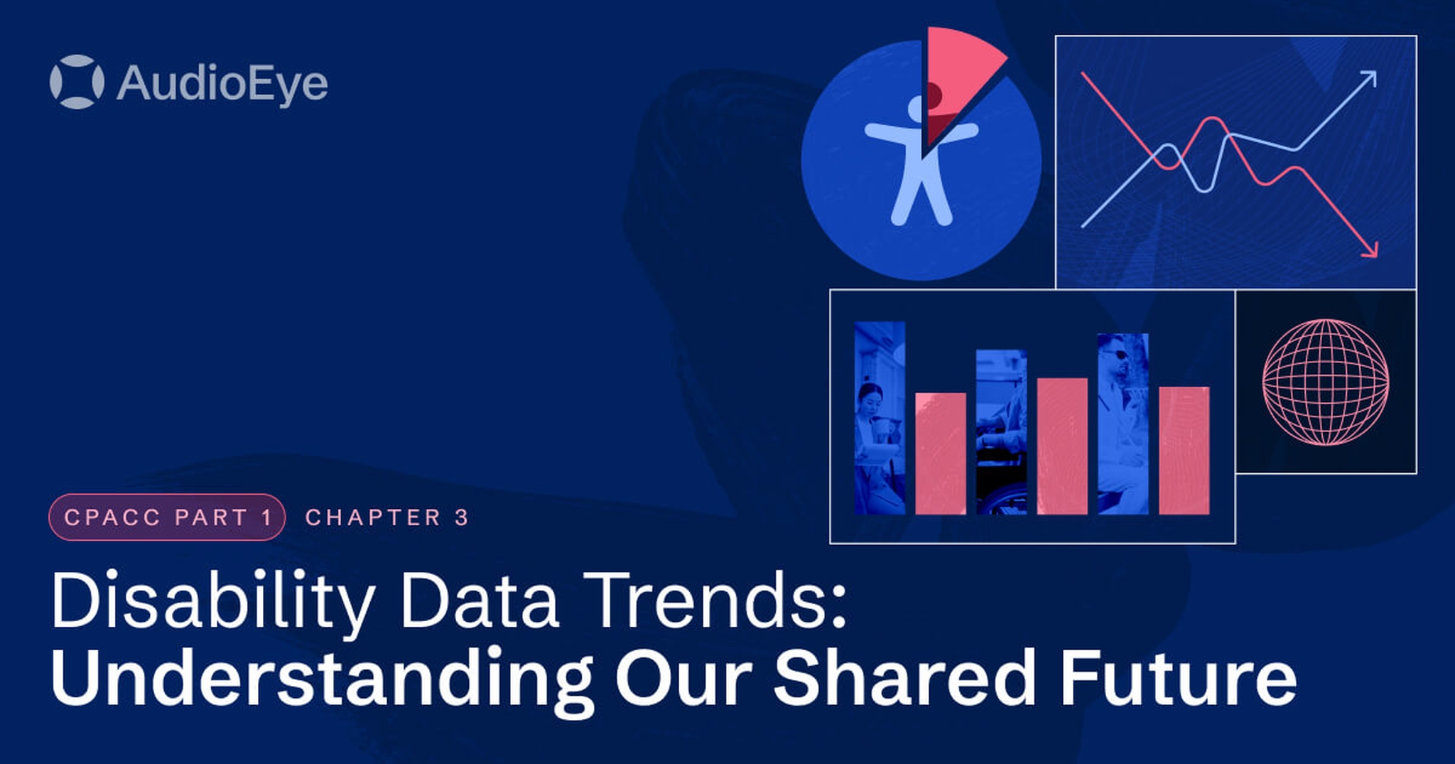 Graphs and pie charts with accessibility symbol