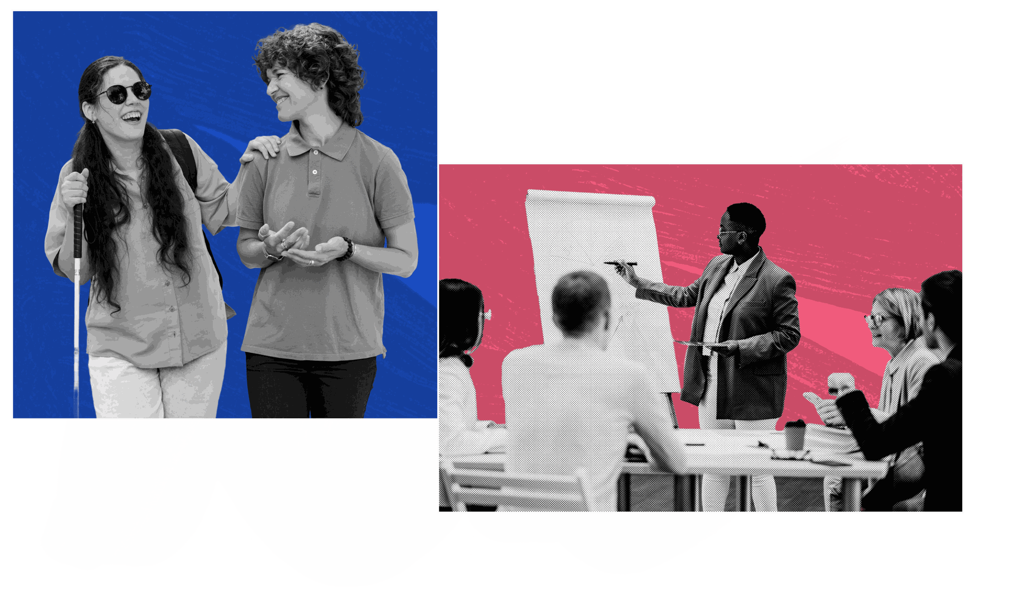 Two women, both smiling, are standing next to each other. One is visually impaired and wearing sunglasses and using a mobility cane. Gray brushstrokes are beneath the image.