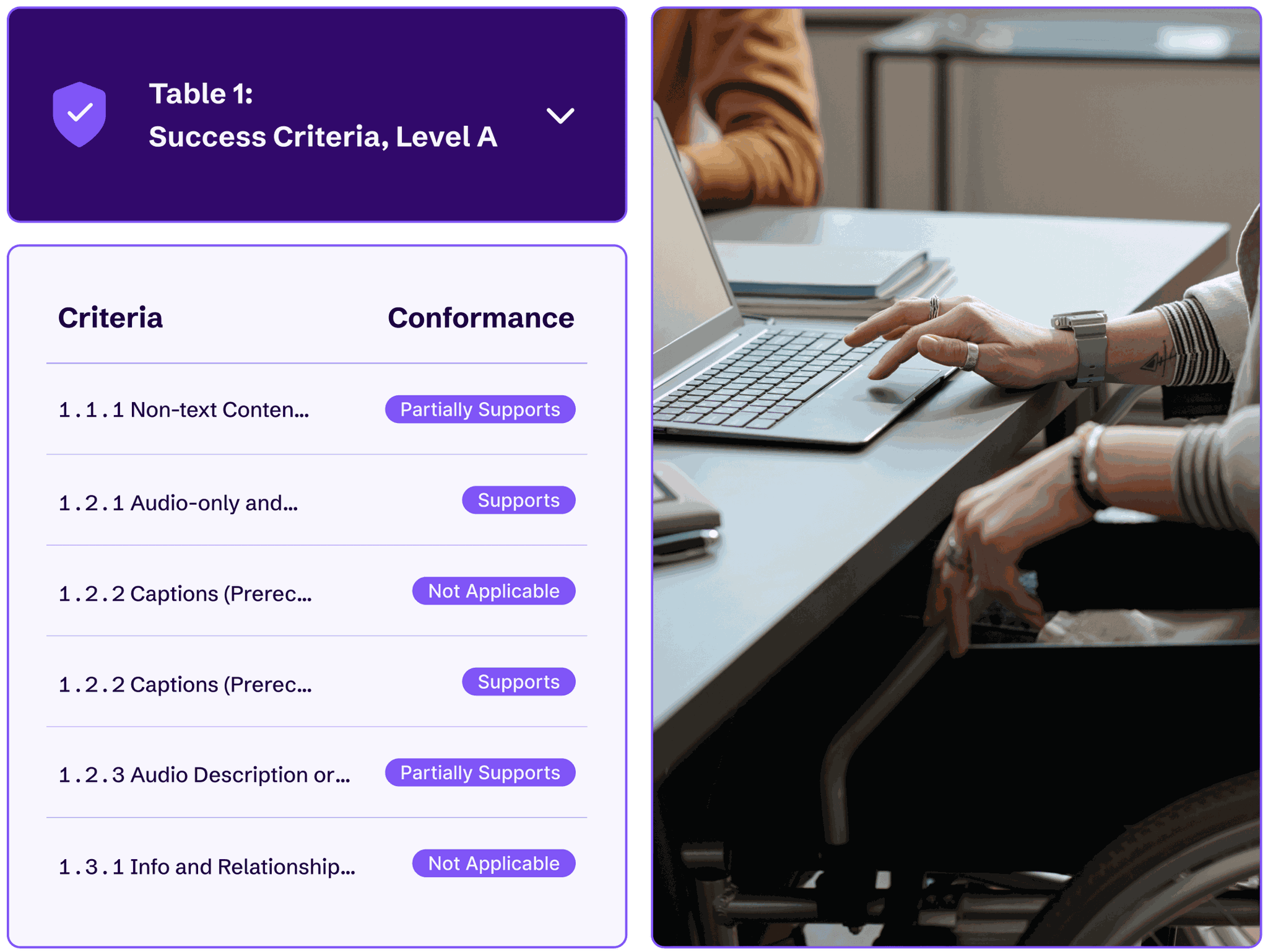 A person in a wheelchair on a computer and a portion of a VPAT featuring WCAG Level A Success Criteria.