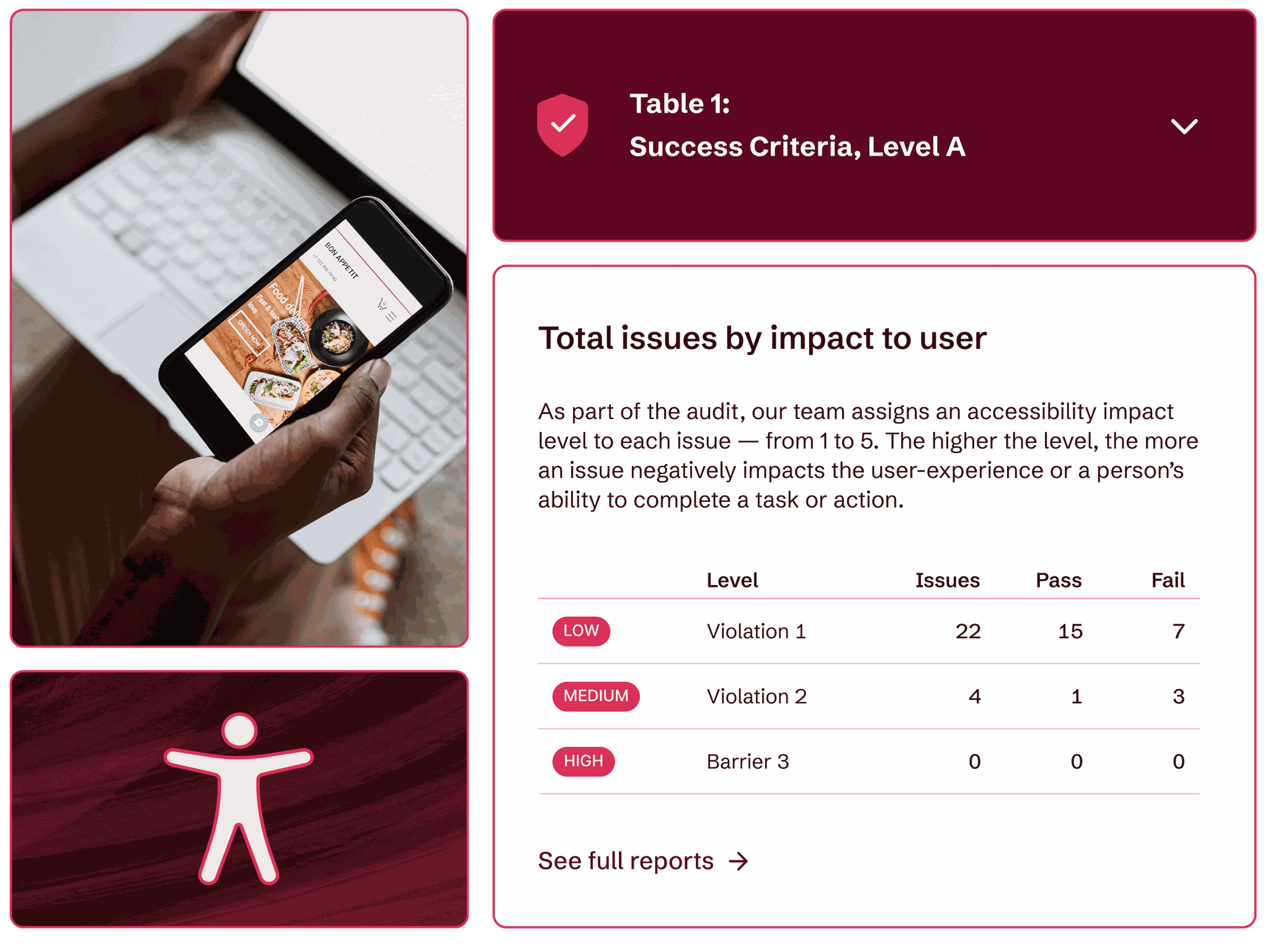 A person on a mobile website and an audit report outlining total issues based on image to the user.