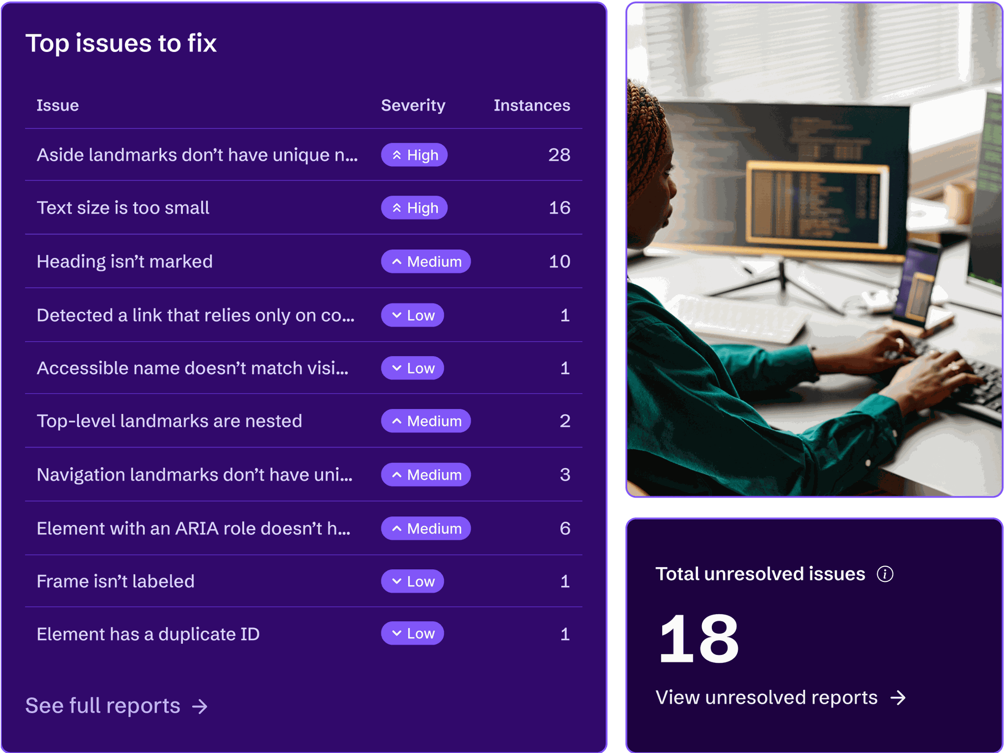 An accessibility expert reviewing the top issues to fix on a website.