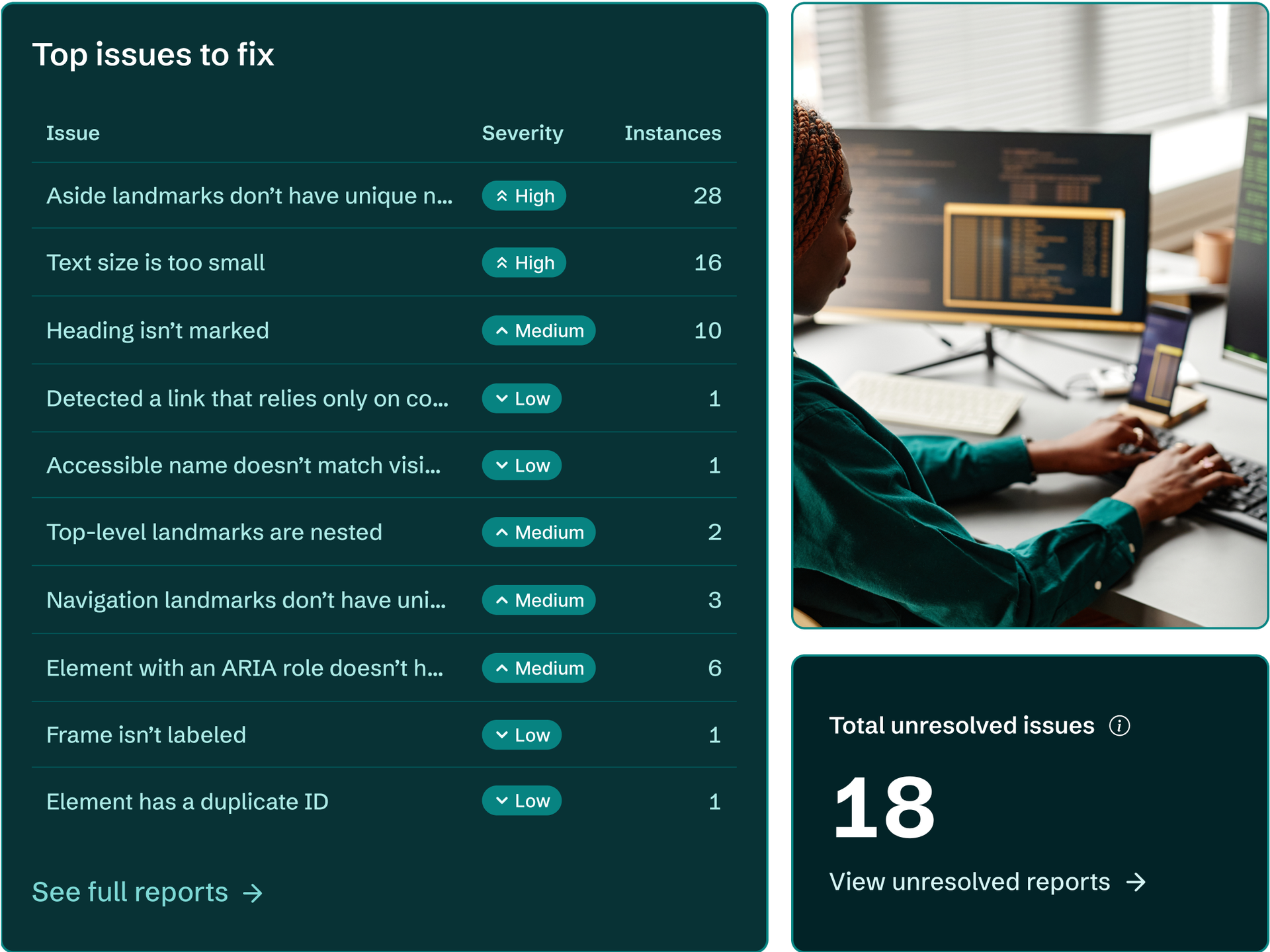 An accessibility expert reviewing the top issues to fix on a website.