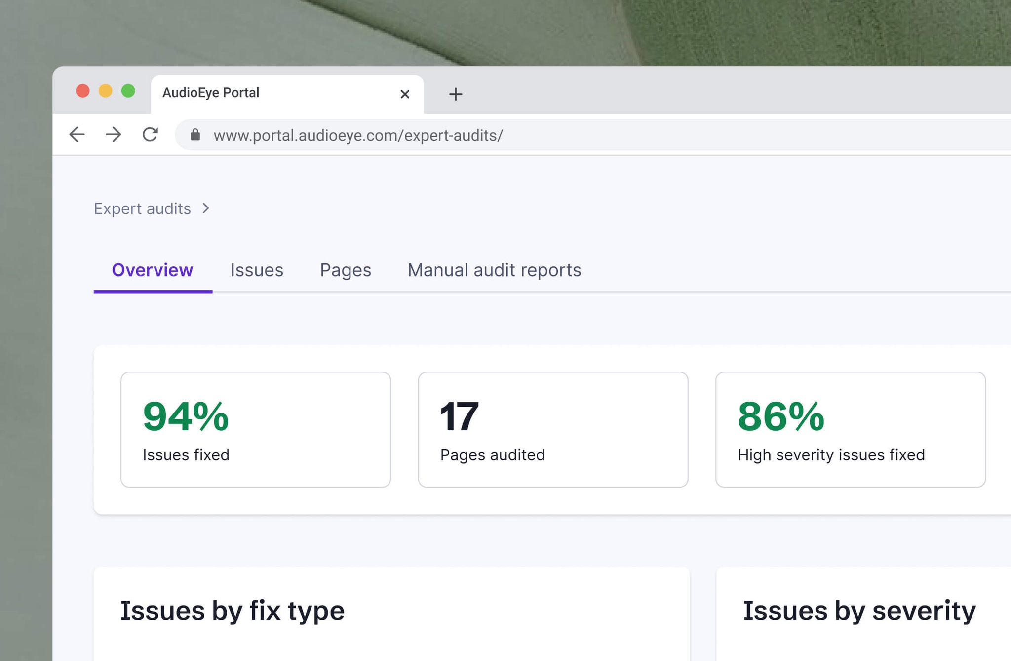 AudioEye portal showing issues fixed, pages audited and high severity issues fixed
