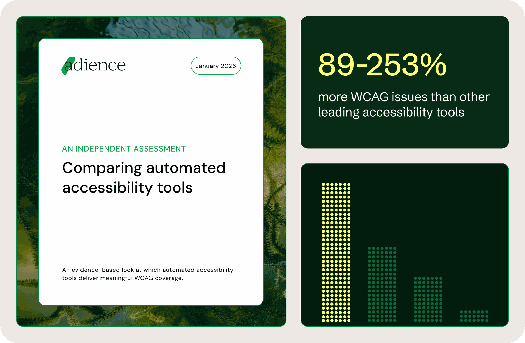 Adience research report "Comparing automated accessibility tools" over green pond backdrop