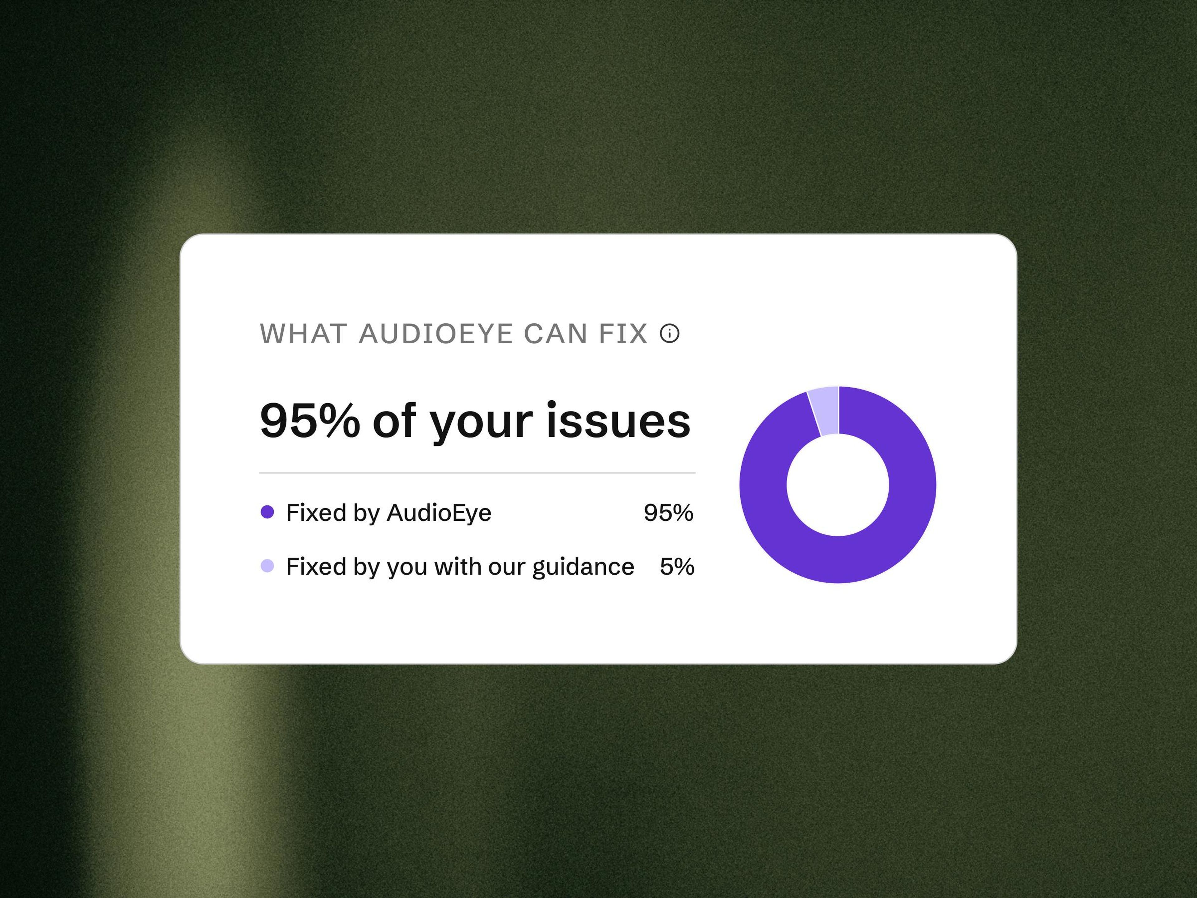 Text showing AudioEye can fix 95% of issues, with a chart: 95% by AudioEye, 5% with guidance.