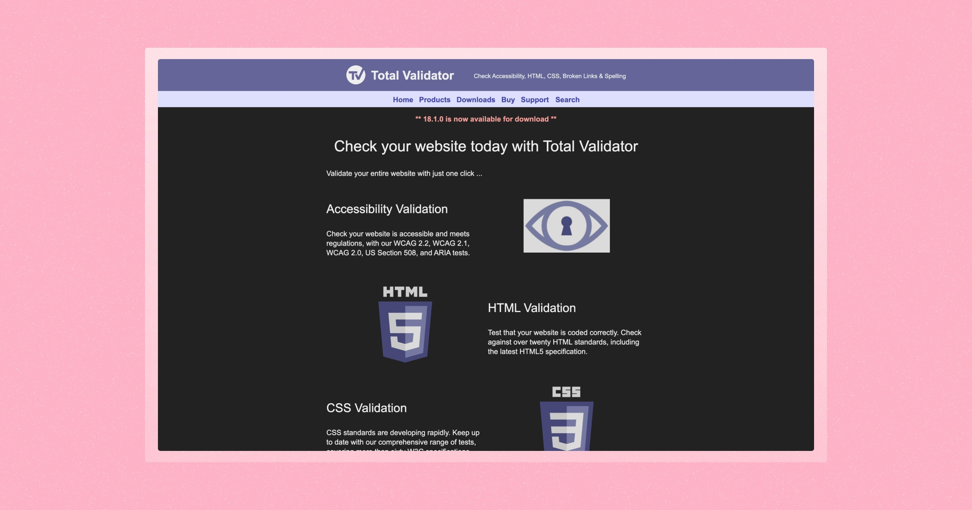 Screenshot of Total Validator homepage.