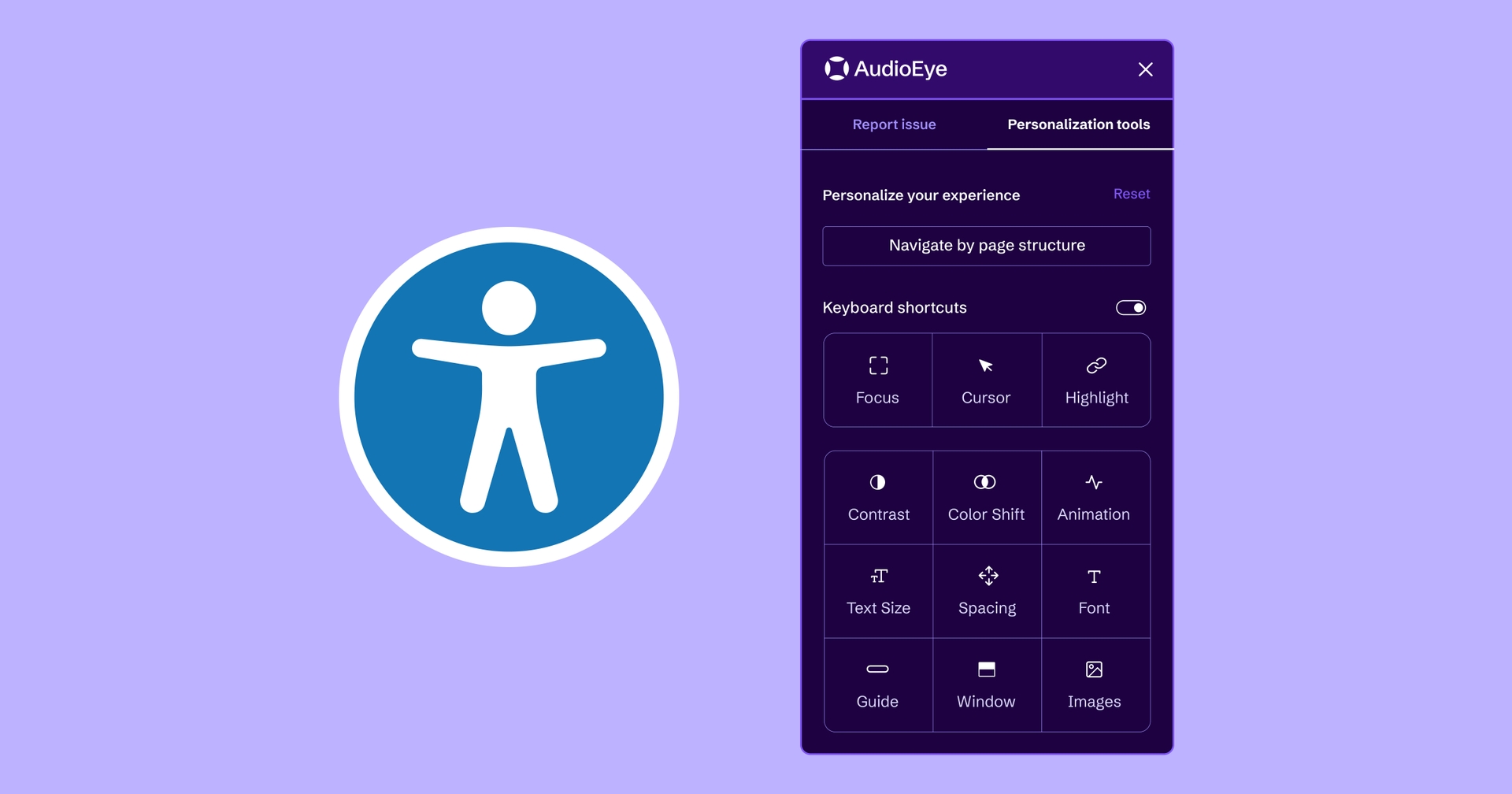 AudioEye's Visual Toolkit with an accessibility icon.