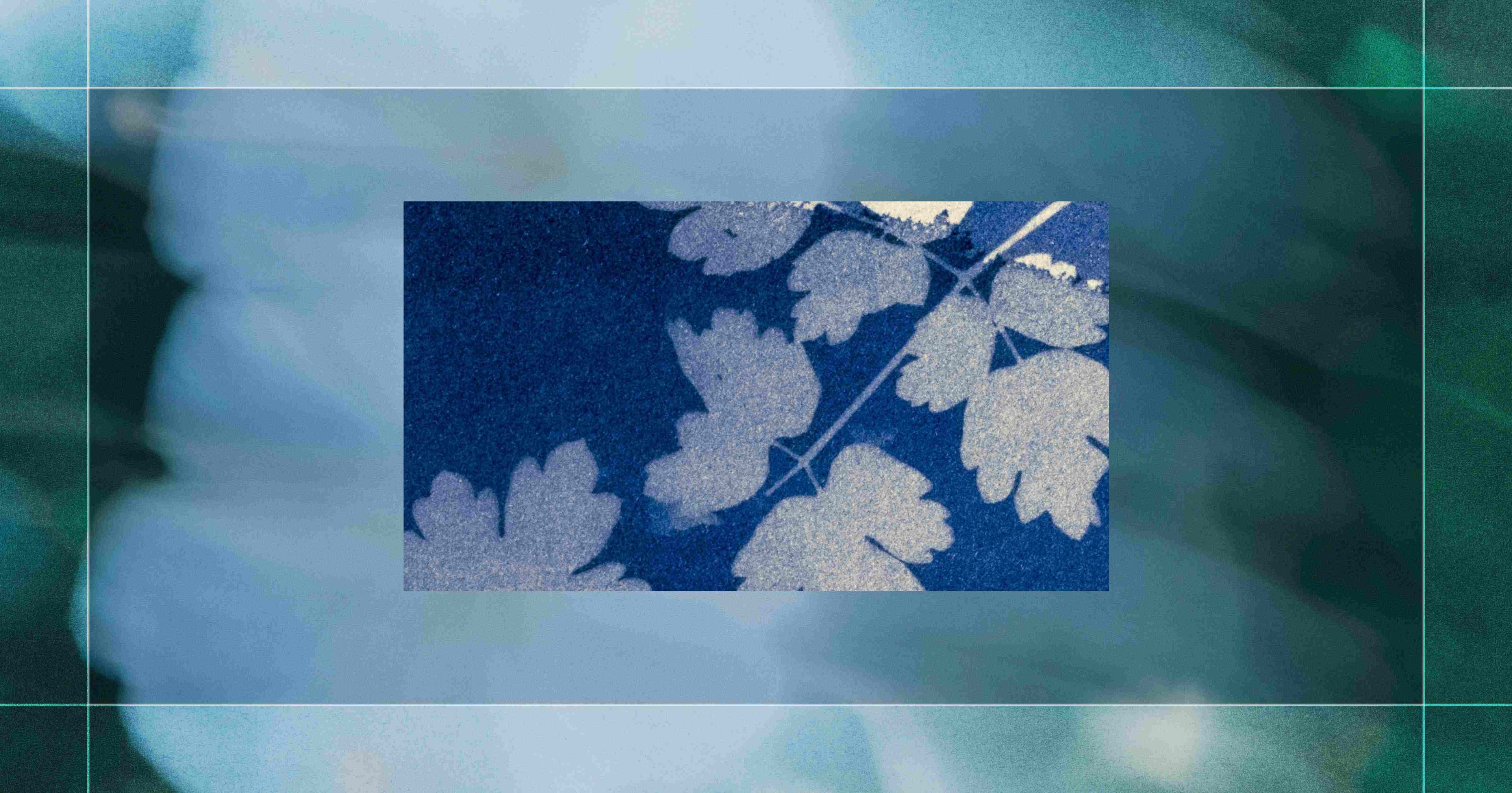 A rectangular frame with white leaf silhouettes on a deep blue background, surrounded by a soft-focus green and blue gradient.