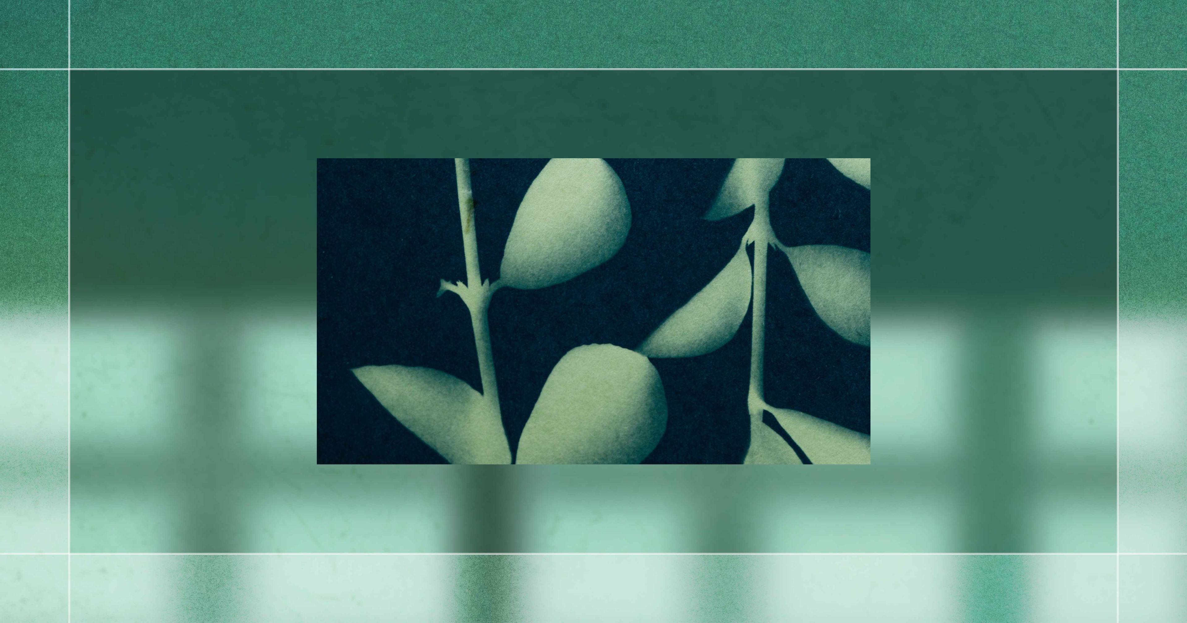 Abstract composition featuring plant silhouettes against a dark blue backdrop with a green gradient border and intersecting lines.