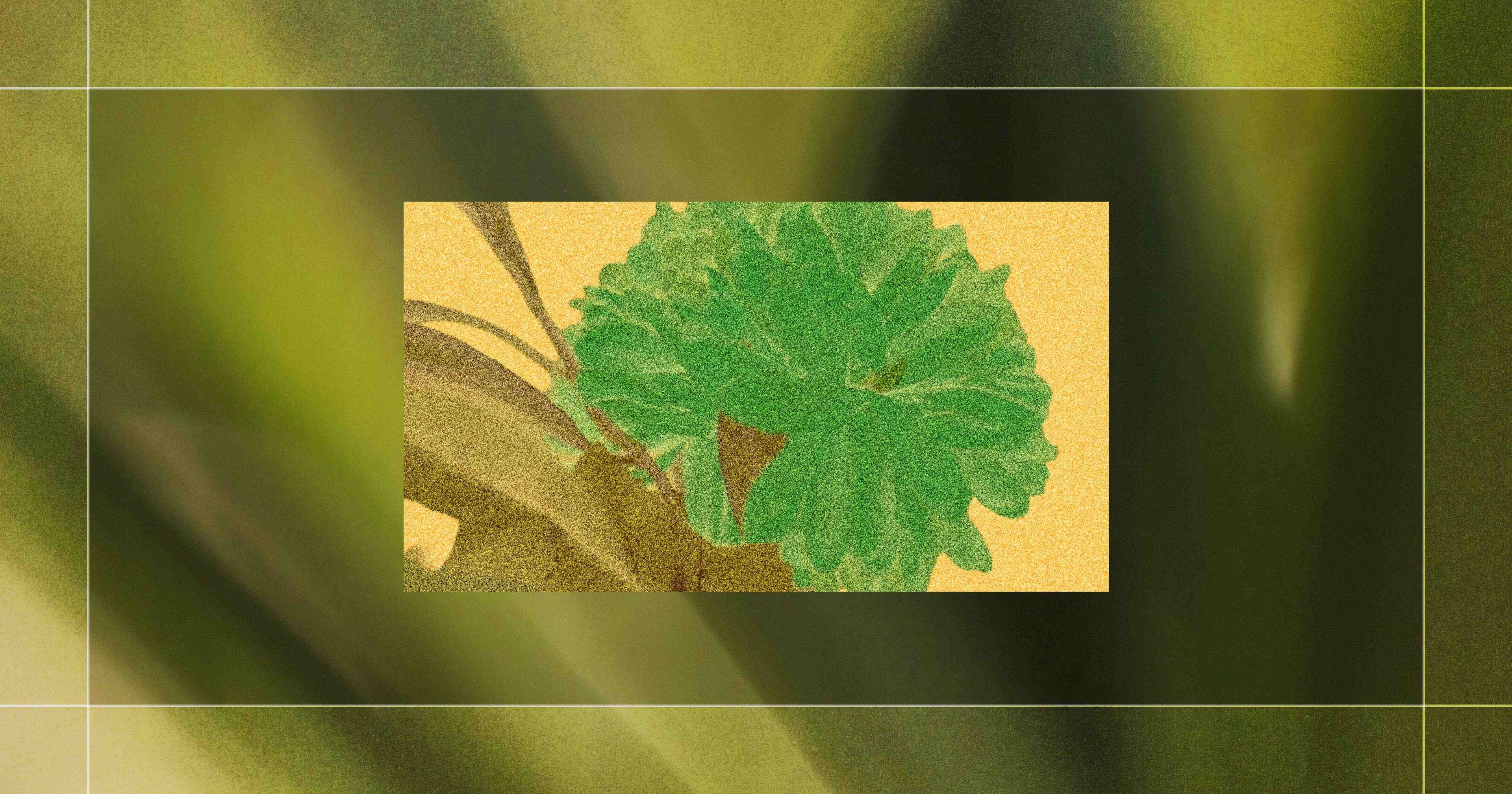 Stylized green plant with textured leaves on a yellow background, bordered by a blurred green frame.