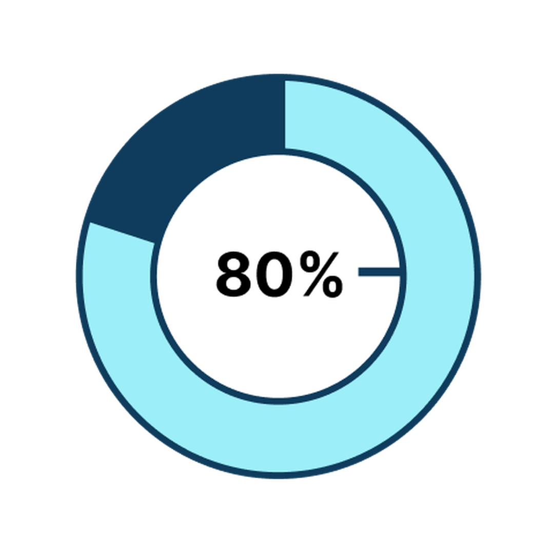 piechart highlighting 80%