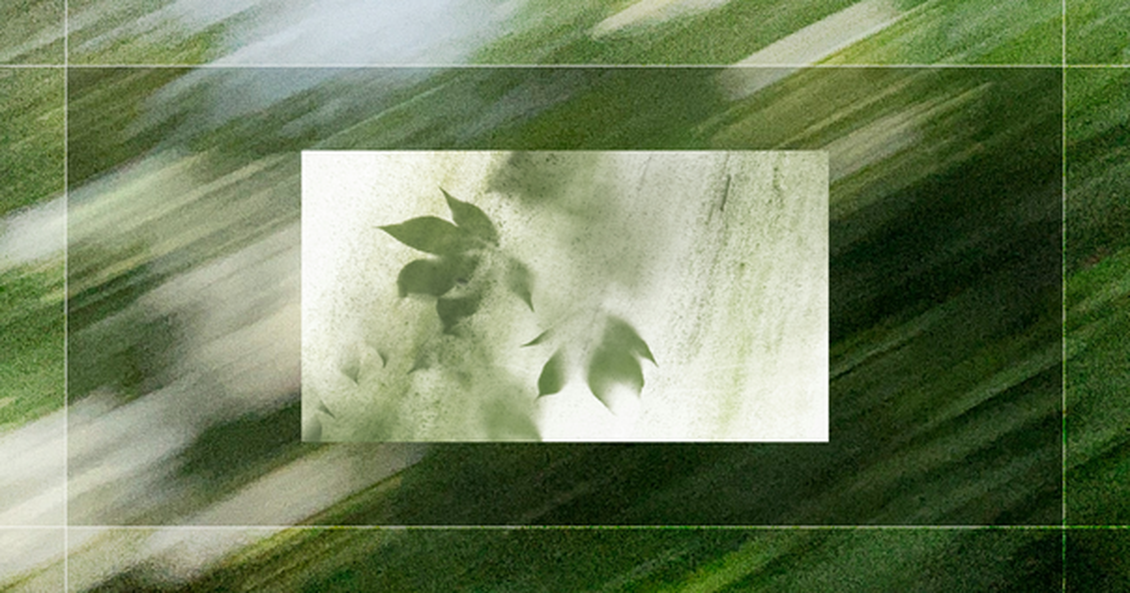 Abstract image with blurred green and white streaks; central rectangle with subtle leaf silhouettes.