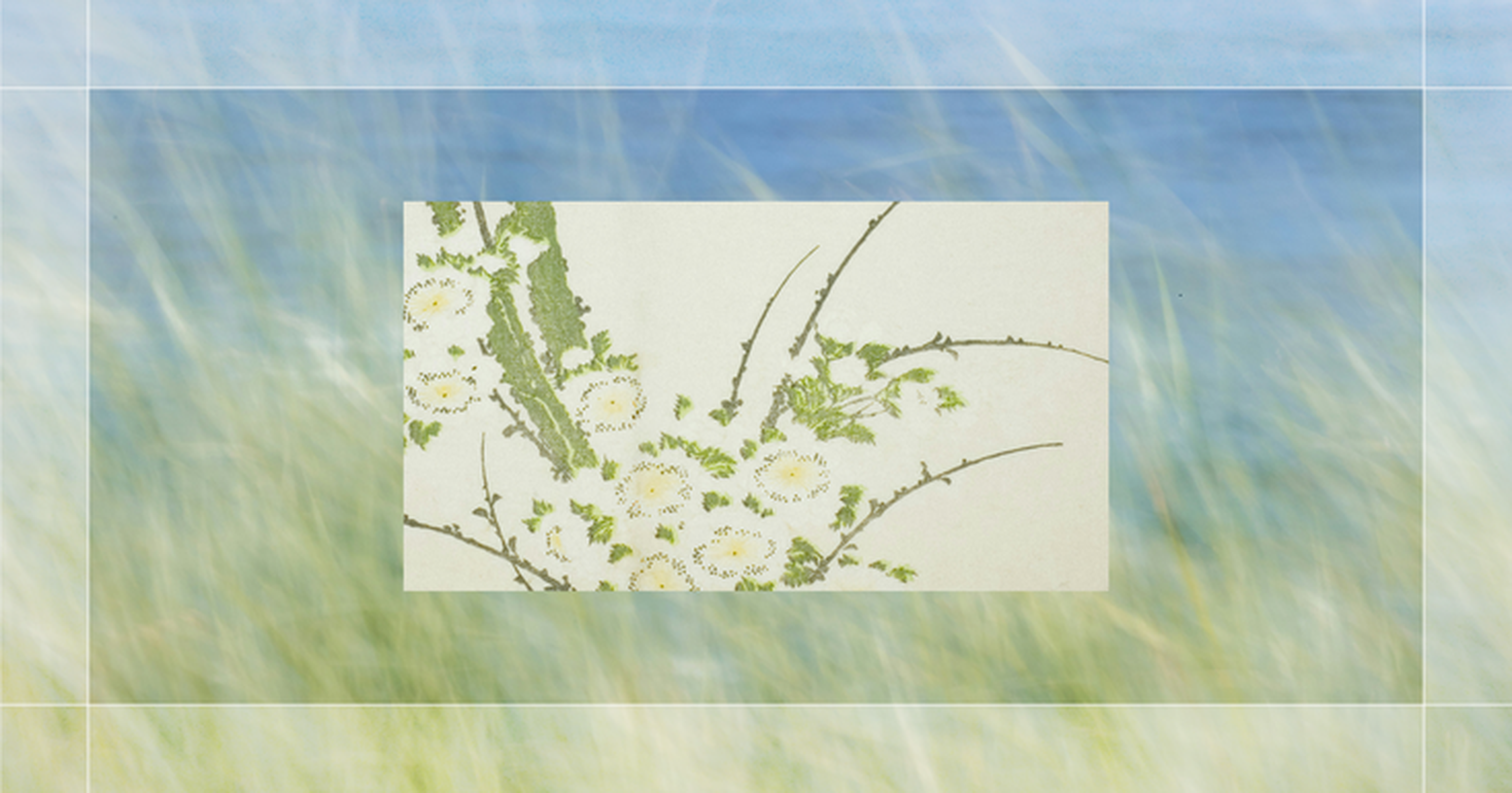 Floral illustration on a blurred background of blue sky and green field, featuring white flowers and green leaves on slender branches.